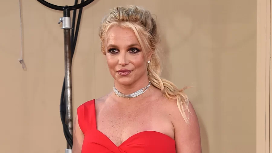 Britney Spears dresses to repeal her conservatorship in court.