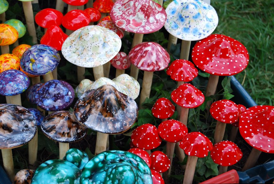 Mushrooms Have Health Benefits?