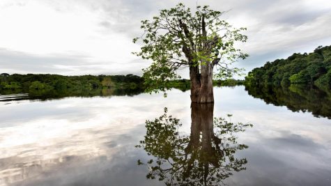 Water is essential for humans as they can only go three days without it. (Photo courtesy of  Conservation Gateway)