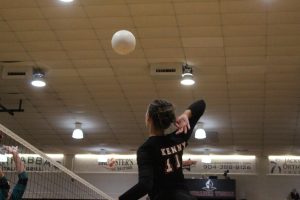 Senior Olivia Ryno prepares to hit the ball from the outside.