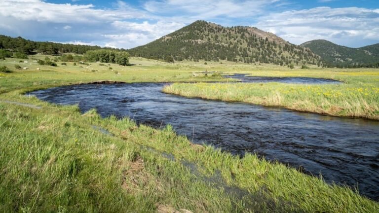 California Data Center Developer Sues to Pull 260 Million Gallons From the Colorado River and Residents Are Furious: 'All While My Garden Turns to Dust